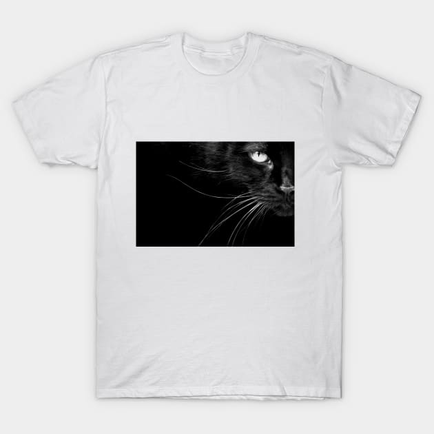 The Cat's Whiskers T-Shirt by LaurieMinor